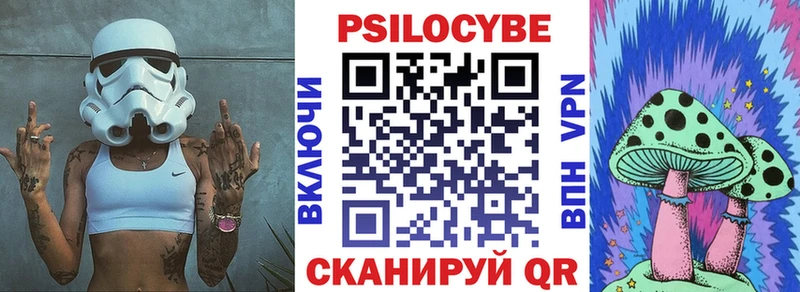 Галлюциногенные грибы Psilocybe  мега сайт  Плёс 